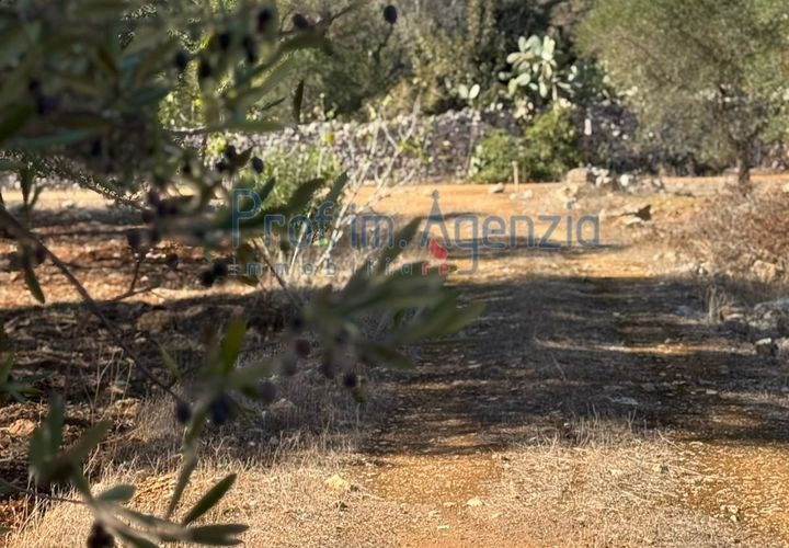 Helårsgrund i Carovigno, Brindisi, Carovigno - € 29.000 | Ref: 122781 - foto 1